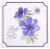 Studio Light Essentials 5.9 Inch X8.25 Inch Stencil Nr. 81 Anemone