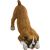 Boxer UC Fawn
