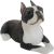 Boston Terrier Small size