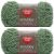 Spinrite Red Heart Scrubby Yarn Green Tea Pack of 2 Skein