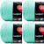 Spinrite Red Heart Super Saver Yarn Minty Pack of 4 Skein