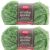 Spinrite Red Heart Scrubby Sparkle Yarn Avocado Pack of 2 Skein