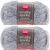 Spinrite Red Heart Scrubby Sparkle Yarn Oyster Pack of 2 Skein