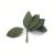 Large Rose Leaf Green 1 1/2 X 3 Inches