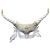 Women s Horned Venetian Mask White