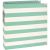 Snap Collection Designer Binder Robins Egg Stripe