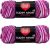 Spinrite Red Heart Super Saver Pooling Yarn Berry Pack of 2 Skein