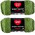 Spinrite Red Heart Super Saver Ombre Yarn Green Apple Pack of 2 Skein