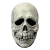 Trick Or Treat Studios Halloween III Season Of The Witch Glow In The Dark Skull Mask
