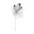 Rose Party Favor Holds Candy White