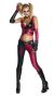 Batman Secret Wishes Top And Pants Adult Harley Quinn Costume Female Small