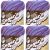 Spinrite Lily Sugar n Cream Yarn Ombres Jewels Pack of 4 Skein