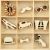 Flourishes Die Cut Wood Pieces Pack Gentleman
