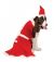 Big Dog Mrs.Claus Costume Xxl