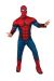 Adult Deluxe Spiderman Muscle Chest Costume X Large