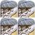 Spinrite Lily Sugar n Cream Yarn Ombres Country Side Pack of 4 Skein