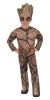 Guardians Deluxe Toddler Groot Male Extra Small