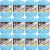 Spinrite Lily Sugar n Cream Yarn Ombres Super Size Swimming Pool Pack of 12 Skein