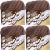 Spinrite Lily Sugar n Cream Yarn Ombres Terra Firma Pack of 4 Skein