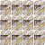 Spinrite Lily Sugar n Cream Yarn Ombres Super Size Wooded Moss Pack of 12 Skein