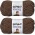 Spinrite Bernat Roving Yarn Bark Pack of 2 Skein