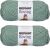 Spinrite Bernat Roving Yarn Low Tide Pack of 2 Skein