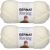 Spinrite Bernat Roving Yarn Rice Paper Pack of 2 Skein