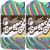 Spinrite Lily Sugar n Cream Yarn Ombres Psychedelic Pack of 2 Skein