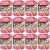 Spinrite Lily Sugar n Cream Yarn Ombres Azalea Pack of 12 Skein