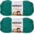 Spinrite Bernat Softee Chunky Yarn Emerald Pack of 2 Skein
