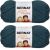Spinrite Bernat Softee Chunky Yarn Teal Pack of 2 Skein
