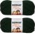 Spinrite Bernat Softee Chunky Yarn Dark Green Pack of 2 Skein
