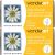 Spinrite Wonderart Latch Hook Kit 12inchX12inch Daisy 1 Pack of 2 Piece