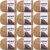 Spinrite Bernat Blanket Big Ball Yarn Sand Pack of 12 Skein