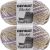 Spinrite Bernat Blanket Big Ball Yarn Lilac Bush Pack of 2 Skein
