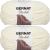 Spinrite Bernat Blanket Big Ball Yarn Vintage White Pack of 2 Skein
