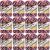 Spinrite Lily Sugar n Cream Yarn Ombres Red White and Blue Pack of 12 Skein