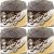 Spinrite Lily Sugar n Cream Yarn Solids Overcast Pack of 4 Skein