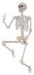 5Ft Skeleton Pose And Hold Tag