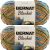 Spinrite Bernat Blanket Yarn Cozy Cabin Pack of 2 Skein