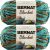 Spinrite Bernat Blanket Yarn Mallard Wood Pack of 2 Skein