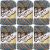 Spinrite Lily Sugar n Cream Yarn Ombres Capri Pack of 6 Skein