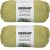 Spinrite Bernat Bernat Maker Home Dec Yarn Green Pea Pack of 2 Skein