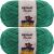 Spinrite Bernat Blanket Brights Big Ball Yarn Go Go Green Pack of 2 Skein