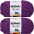 Spinrite Bernat Blanket Brights Big Ball Yarn Pow Purple Pack of 2 Skein
