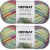 Spinrite Bernat Maker Home Dec Yarn Fiesta Variegate Pack of 2 Skein