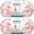 Spinrite Bernat Baby Blanket Big Ball Yarn Flowerpot Pack of 2 Skein