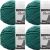 Spinrite Bernat Blanket Big Ball Yarn Malachite Pack of 4 Skein