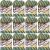 Spinrite Lily Sugar n Cream Yarn Ombres Rickrack Pack of 12 Skein
