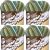 Spinrite Lily Sugar n Cream Yarn Ombres Rickrack Pack of 4 Skein